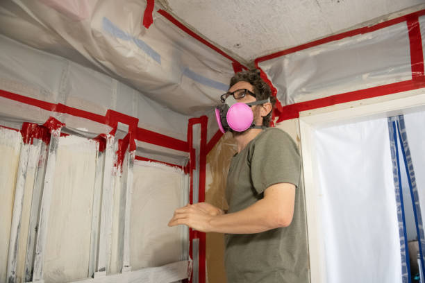 Trusted Catasauqua, PA Mold Inspection, Removal & Remediation Experts